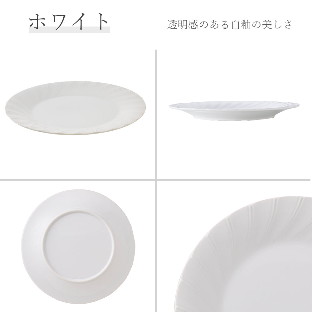 ホワイトシェル 丸皿 ホワイト
