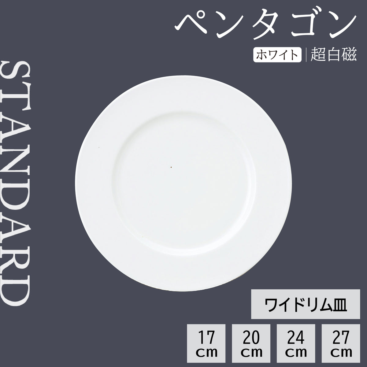 ペンタゴン ワイドリム皿