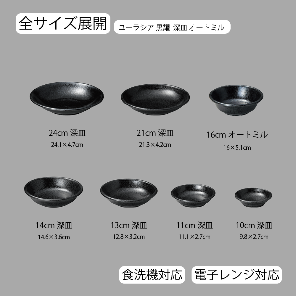 ユーラシア 深皿 黒耀