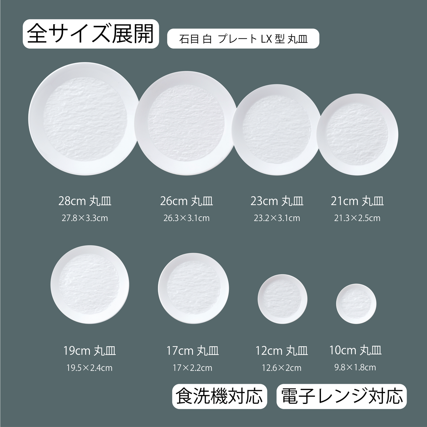 石目 LX皿 ホワイト