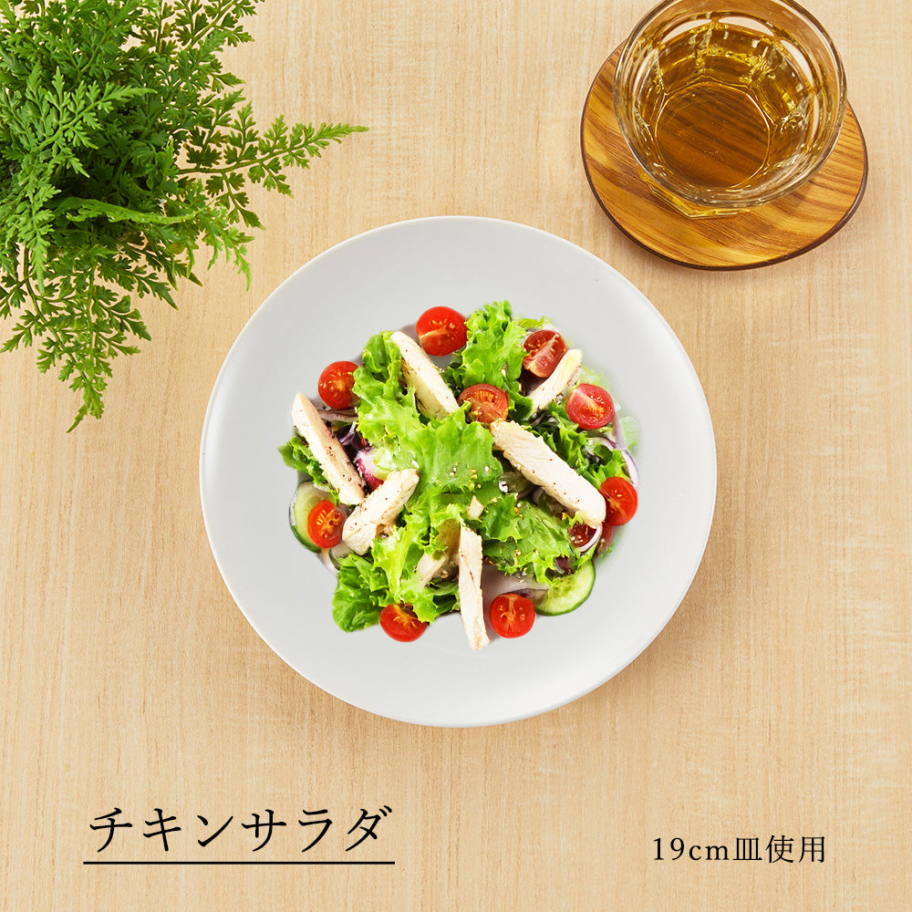 メタシェイプ 丸皿 ホワイト