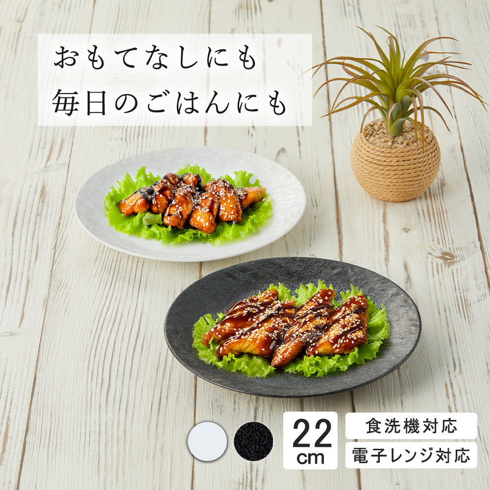 ペトラSX 皿 黒耀