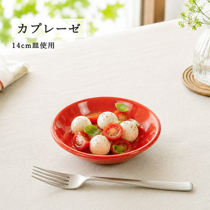 ユーラシア 深皿 レッド