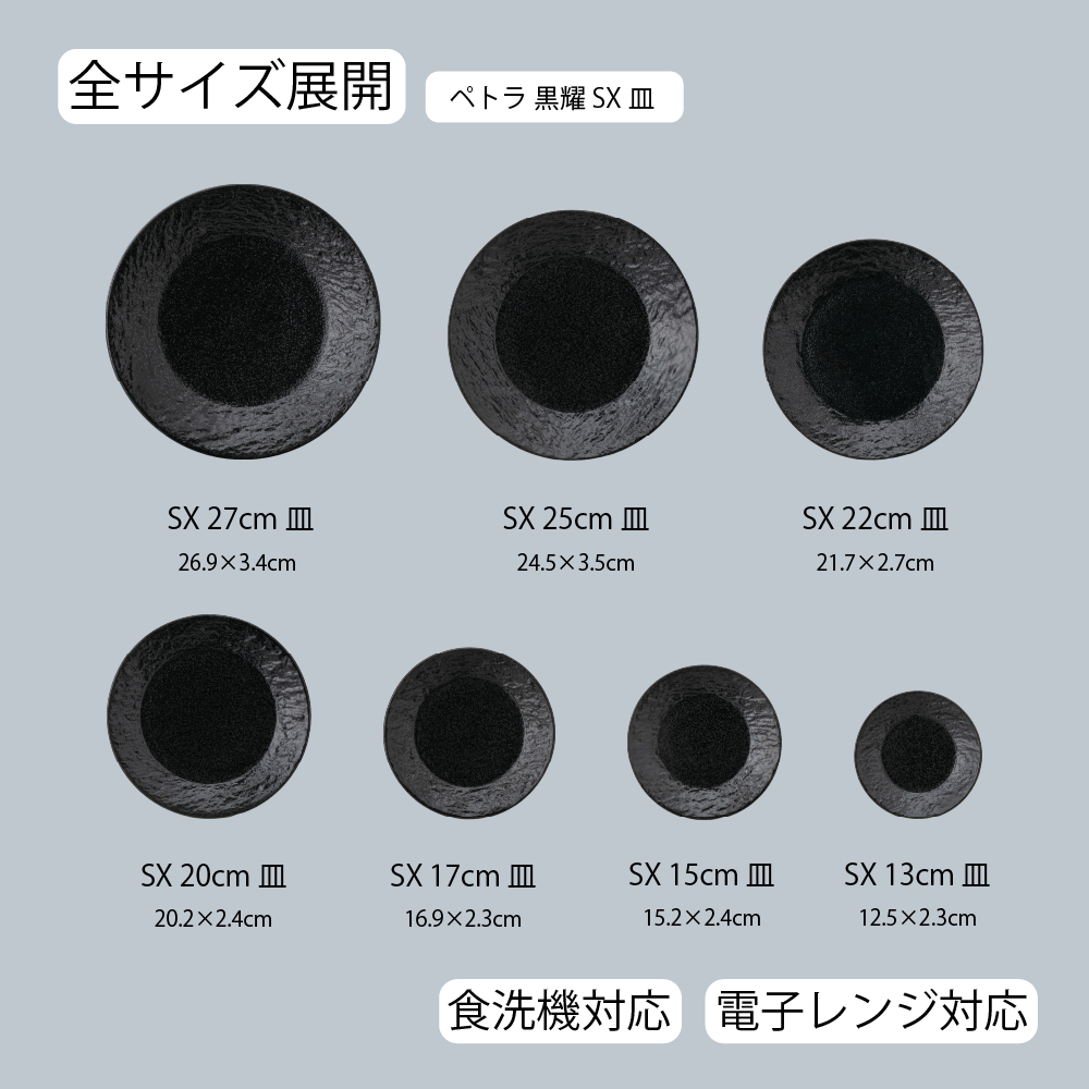 ペトラSX 皿 黒耀