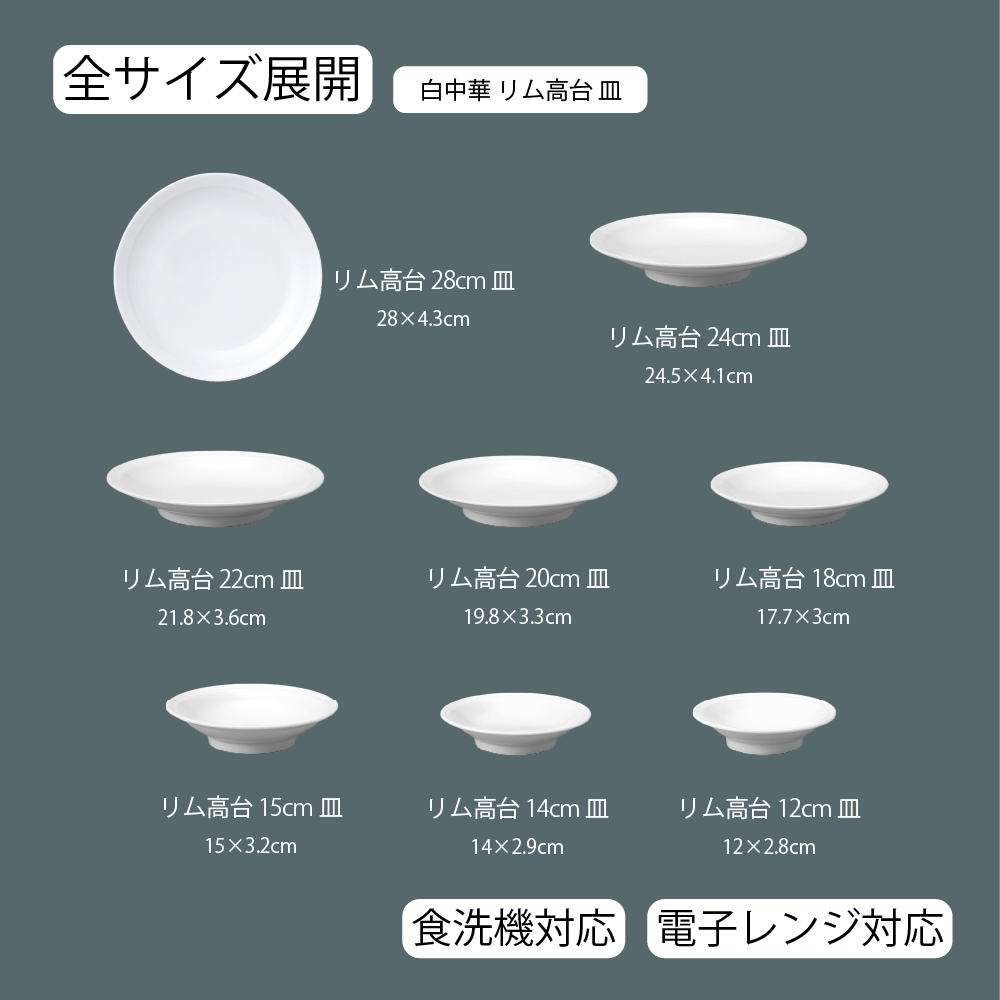 白中華 リム高台皿 ホワイト